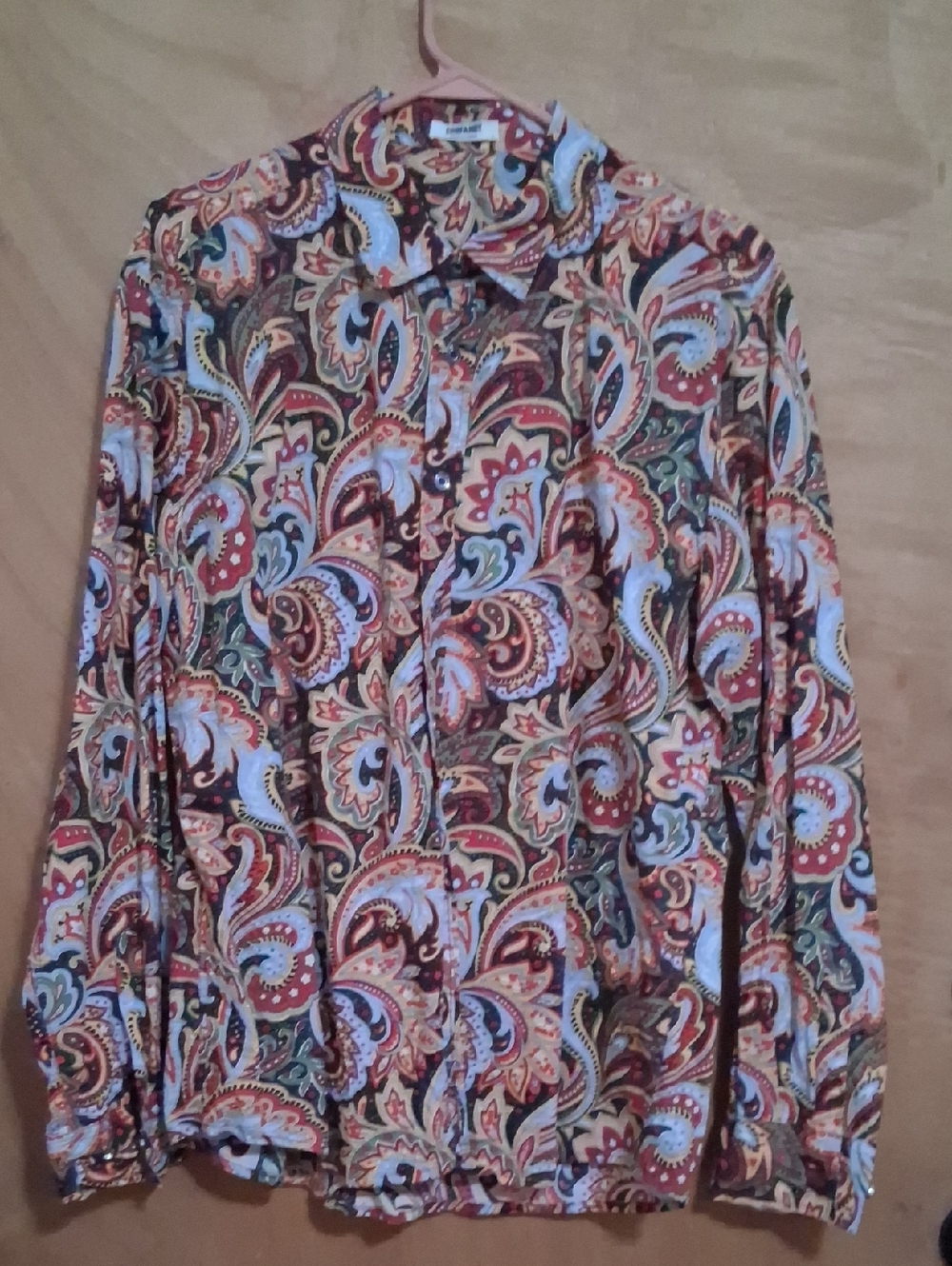 Men's Paisley Long-Sleeve Button-Down Shirt in Multi-Color
